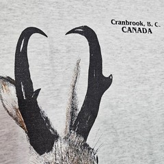 Vtg 90s Jackalope T Shirt Mens M Canada Fruit Of The Loom Single Stitch Hunting