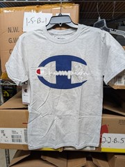 Champion T425 Men’s Athletic Champion Logo Tee Shirt T-shirt Ash Gray Small