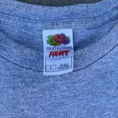 Fruit of the Loom Heavy Cotton Men’s L Gray College Graphic Crewneck T-Shirt