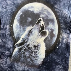 Vintage Stussy Shirt Mens Medium Tie Dye Wolf Nature Tee 90s Single Stitch RARE