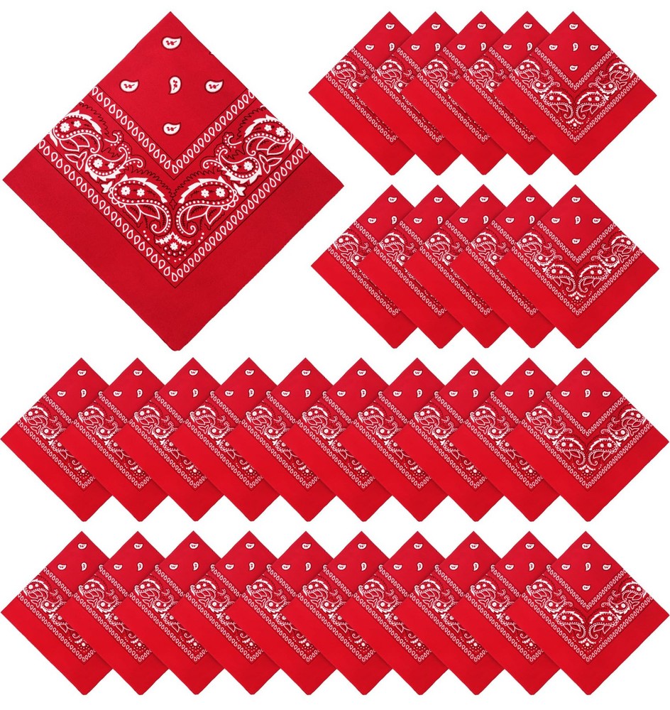 YSense 30 Pieces Paisley Bandana Unisex MultiPurpose Bandanas Bulk Cowboy Hea…