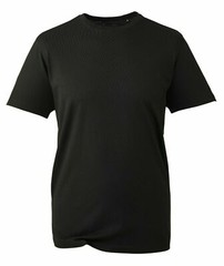 Anthem Classic Mens Short Sleeve Organic Cotton Round Neck Plain 145gsm TShirt