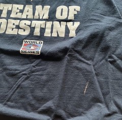 Alstyle Vintage Y2K Detroit Tigers “Team of Destiny” MLB Graphic T-Shirt Men’s L