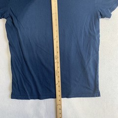Hollister T Shirt Mens Small Blue Must Have Collection Logo 100% Cotton