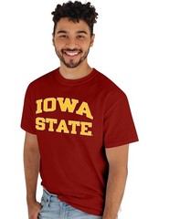 Blue 84 Mens Iowa State Cyclones T-Shirt Arched Team Color Team Color X-Large