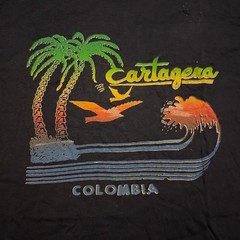 VTG 70s 80s Cartagena Columbia surf style tshirt S cotton rayon foreign tropical