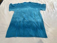 Liquid Blue T-shirt Blue Sea Swimming Bears NWOT. Small