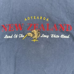 Vintage New Zealand Shirt Mens Medium Blue Aotearoa Kiwi Graphic Tee T-Shirt