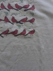 Gildan Ultra Cotton Men’s XL Beige Heavyweight Bird Graphic Tee 2001