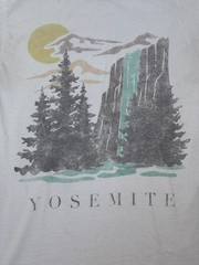 PacSun Yosemite National Park Waterfall Graphic T-Shirt