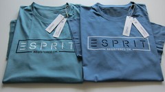 Esprit Mens T-Shirt 3XL, 4XL, 5XL Turquoise, Dove Blue, Cotton, Cotton