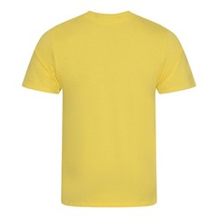 AWDis Ecologie Organic Cotton Cascade Tee|Plain Stylish T-shirt|10 Bright & Bold