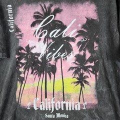 On The Low Cali Vibes T-Shirt Mens Medium Gray Acid Wash Santa Monica Graphic