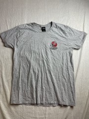 Georgia Bulldogs Athens T-Shirt Gray Mens L Football Capital of the South Sporty