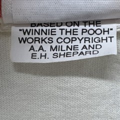 VTG Pooh’s Outdoor Adventure Embroidered Applique Single Stitch USA RARE GRAIL