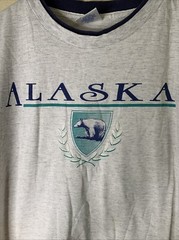 Vintage Alaska Shirt Mens Sz M Brown Bear Outdoor Travel Art Tee 90s