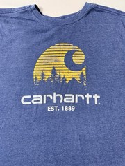 Carhartt Men’s Maddock Mountain Logo Tshirt hiking outdoors