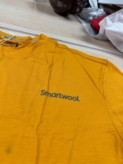 Smartwool Merino Wool Dawn Rise Graphic Short Sleeve Tee in Honey Gold XL