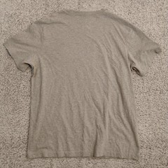 Nike The Nike Tee Shirt Mens Large Gray Red Swoosh Embroidered Logo Graphic