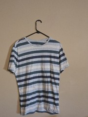 Mossimo Supply Co. Men’s L Regular Striped Crew Neck Short Sleeve T-Shirt Blue