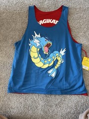 Adult Reversible Jersey Pokemon X Target Collab 30th Gyarados/Magikarp – Large