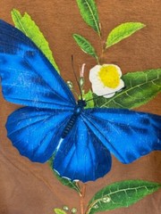 Obey T-Shirt Adult Small Blue Butterfly’s Graphic Tee Brown Quality Dissent EUC