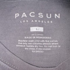 PacSun Men’s L Gray Enchanted Paradise Graphic Crew Neck Cotton Jersey Tee