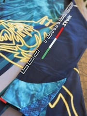 Pro Fishing Shirt 1/4 Zip Bacurato Los Torreones Mexico Pro Steel Active Wear