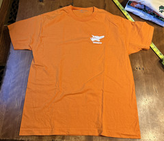 FTL FOLLOW THE LEADER BMX T Shirt L Skate Extreme Sports New York City USA