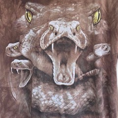 The Mountain Rattlesnake Tie Dye Tee Mens XL Brown Shirt Nature Animals Outdoors