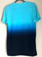 Hollister Must-Have Collection Ombre Tee Shirt Adult Medium Embroidered Logo