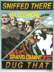 Mt Rushmore Dogmore Grand Canyon Canine Big Dogs Tee Shirt M L XL 5X 6X White