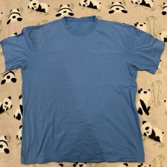 Lands End Men’s T Shirt Size Large Light Blue Short Sleeve