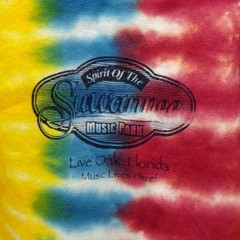Suwannee Music Park Tie Dye T-Shirt XL Live Oak FL Festival Jam Band Souvenir