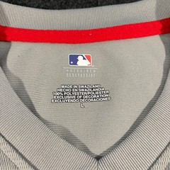 MLB St Louis Cardinals Jersey Mens Large Gray Red V-Neck Performance Shirt Fan