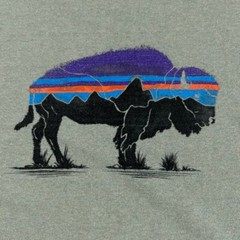 Patagonia Shirt Men Small Bison Responsibili Tee Graphic Work Party Gym Core Ex
