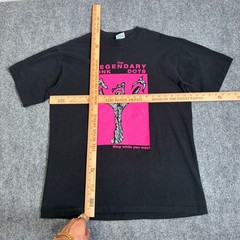 Vintage 90s The Legendary Pink Dots “Sing while you may” Band T Shirt XL Roc