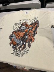 Warren Lotas 2022 the Mojave Tan Reaper Tee XXL Cream
