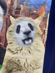 Panda Cat Shirt Adult Large It’s Pandemonium Its Catastrophy Face Swap Funny Men
