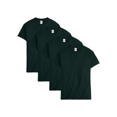 4 PACK OF Hanes Essential 100% Cotton Adult 5.2 oz. Cotton T-Shirt – 5280