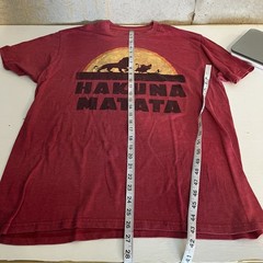Disney Adult Large Red Graphic Tshirt Lion King Hakuna Matata Simba Pumba Timon