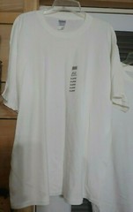 Gildan/Hanes mans white t shirts total 3 size xl