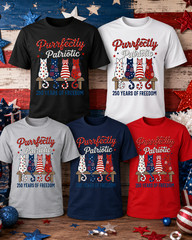250th 4th of July Patriotic Funny Cat Lover 1776