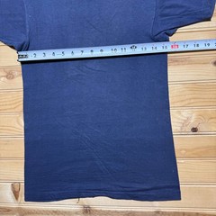 Vintage 50s Camp Winnipeg Roscoe New York Indian Head Graphic T-Shirt – Small
