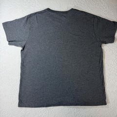 Mighty Fine Shirt Mens XL Gray Leave Nature Wild Desert Cactus Graphic Tee