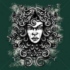Medusa T Shirt You Choose Style, Size, Color Up to 4XL 10027