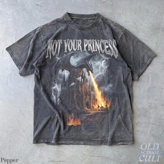 Not Your Princess Dragon Vintage Fantasy Art Comfort Tee