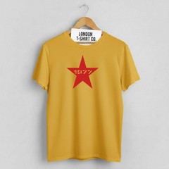 1977 Punk Star T-Shirt – Punk Rock, Sub Culture, Various Colours