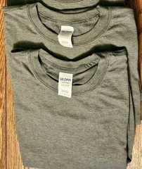 NEW Lot Of 2 Gildan Mens T-Shirt Short Sleeve Light Weight Softstyle Size LARGE