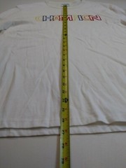 mens champion 100% authentic crewneck L/S t-shirt size large soild logo white